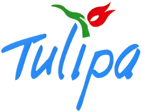 Tulipa